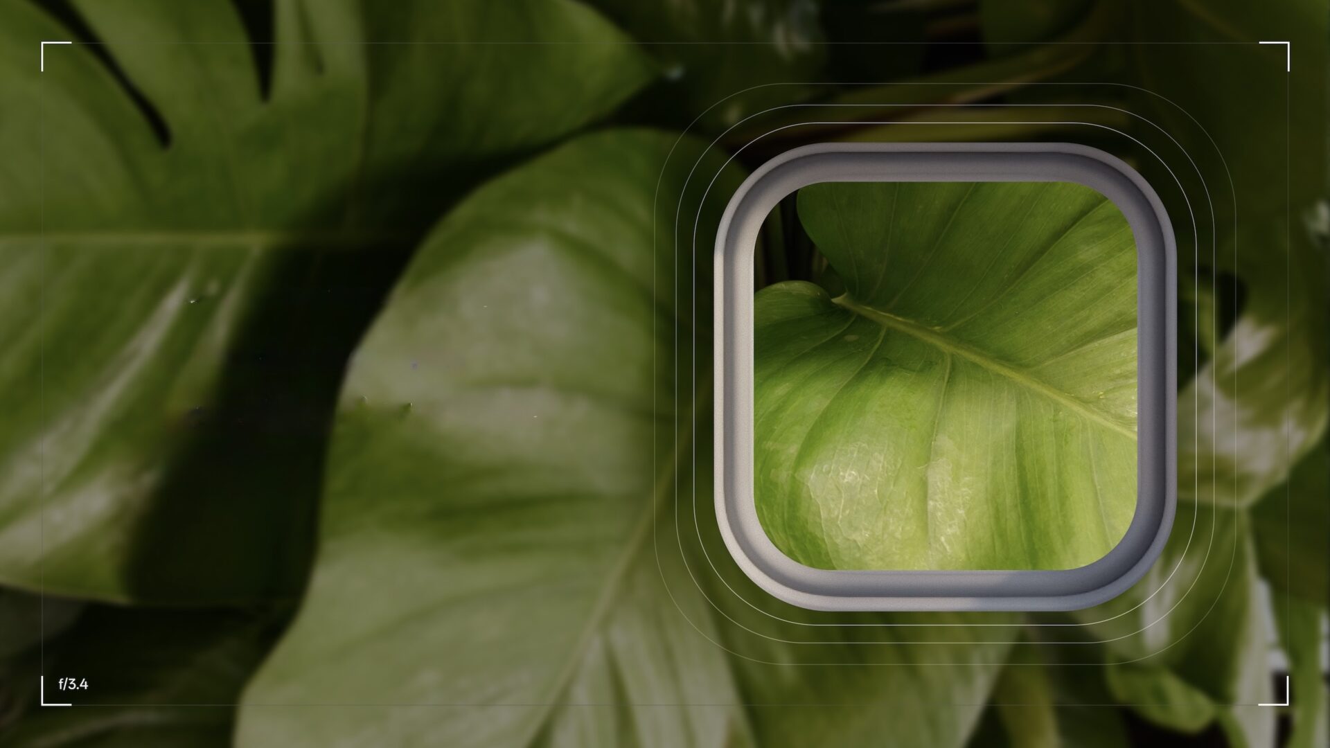 Oneplus överger Hasselblad-teknik i kameran