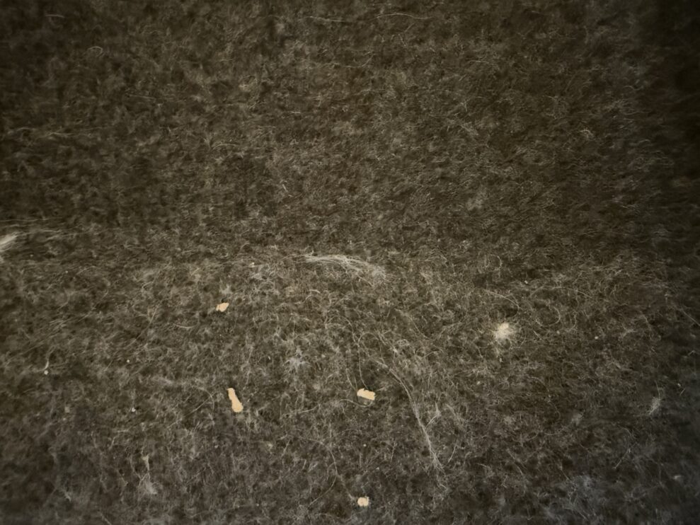 Bespoke AI Jet Ultra hair (web) Bespoke AI Jet Ultra hair (web)