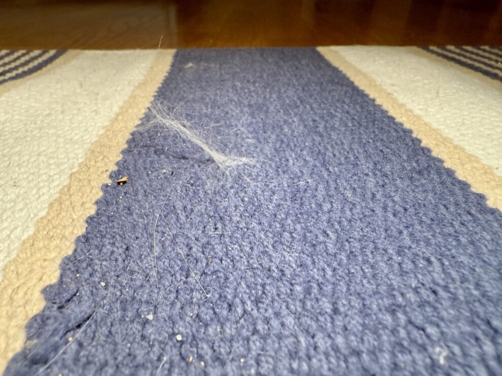 Dyson Piston rug (web)