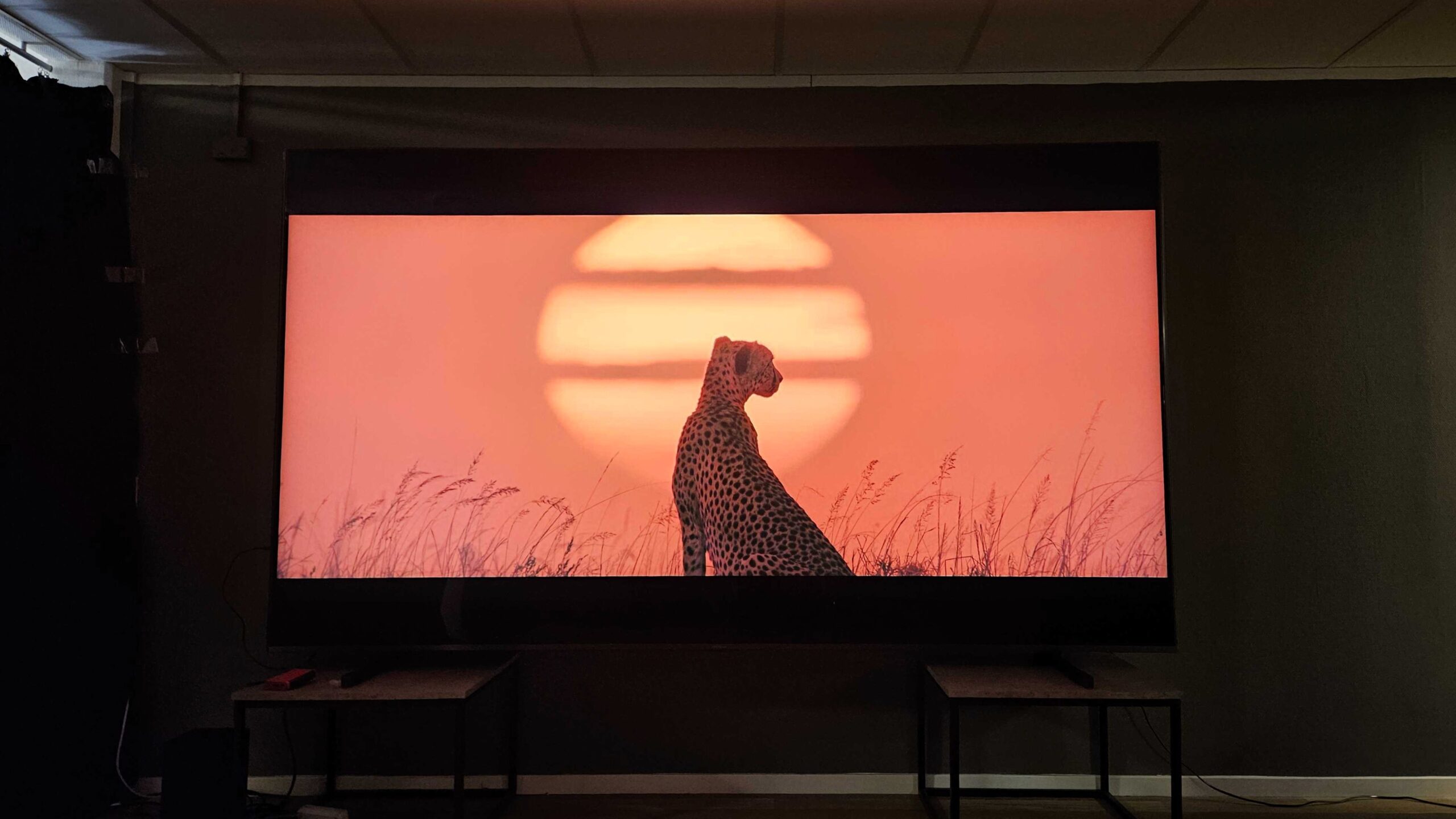 Hisense 116UXQ Universet scaled 1