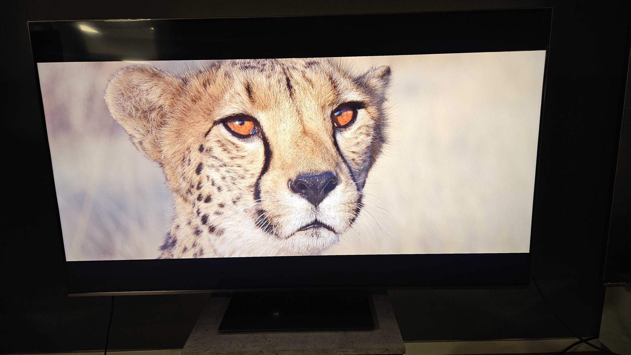 Cepter ZM1000 test 2 scaled