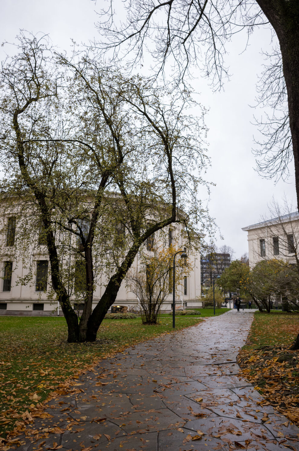 Leica M EV1_sample_5