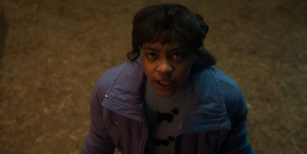 STRANGER THINGS: SEASON 5