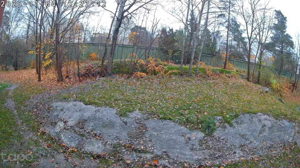 tapo c460 day tapo c460 day