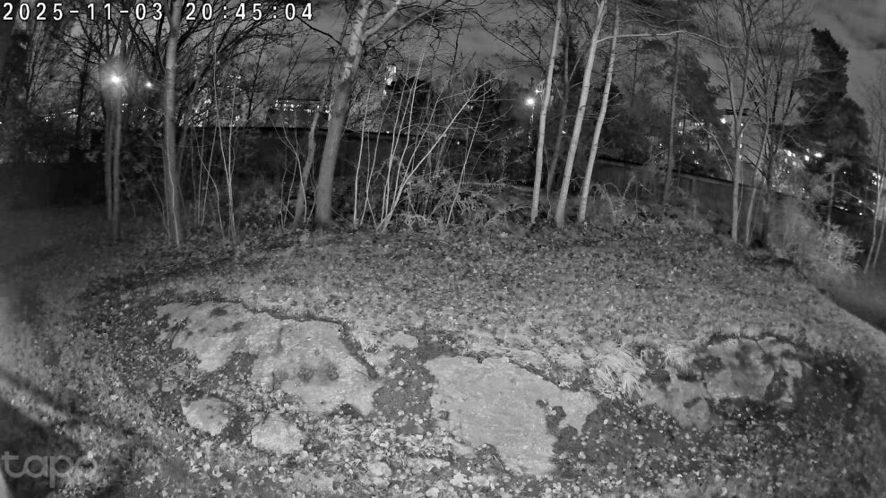 tapo c460 night tapo c460 night