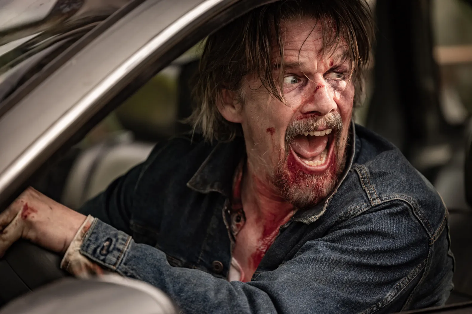 The Lowdown, säsong 1