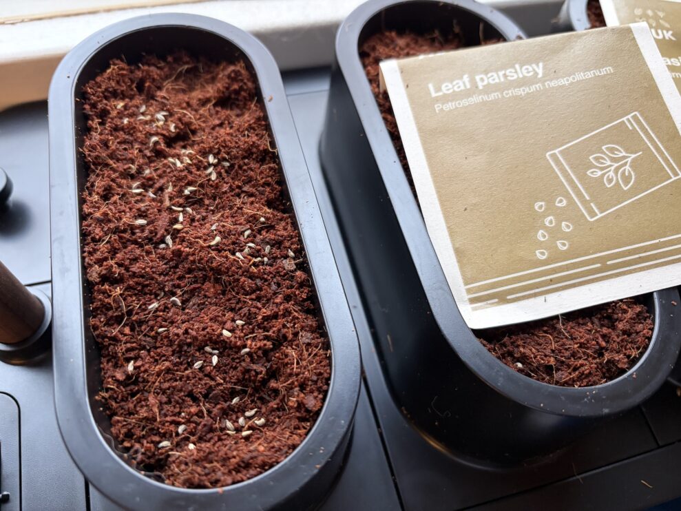 auk mini planting web