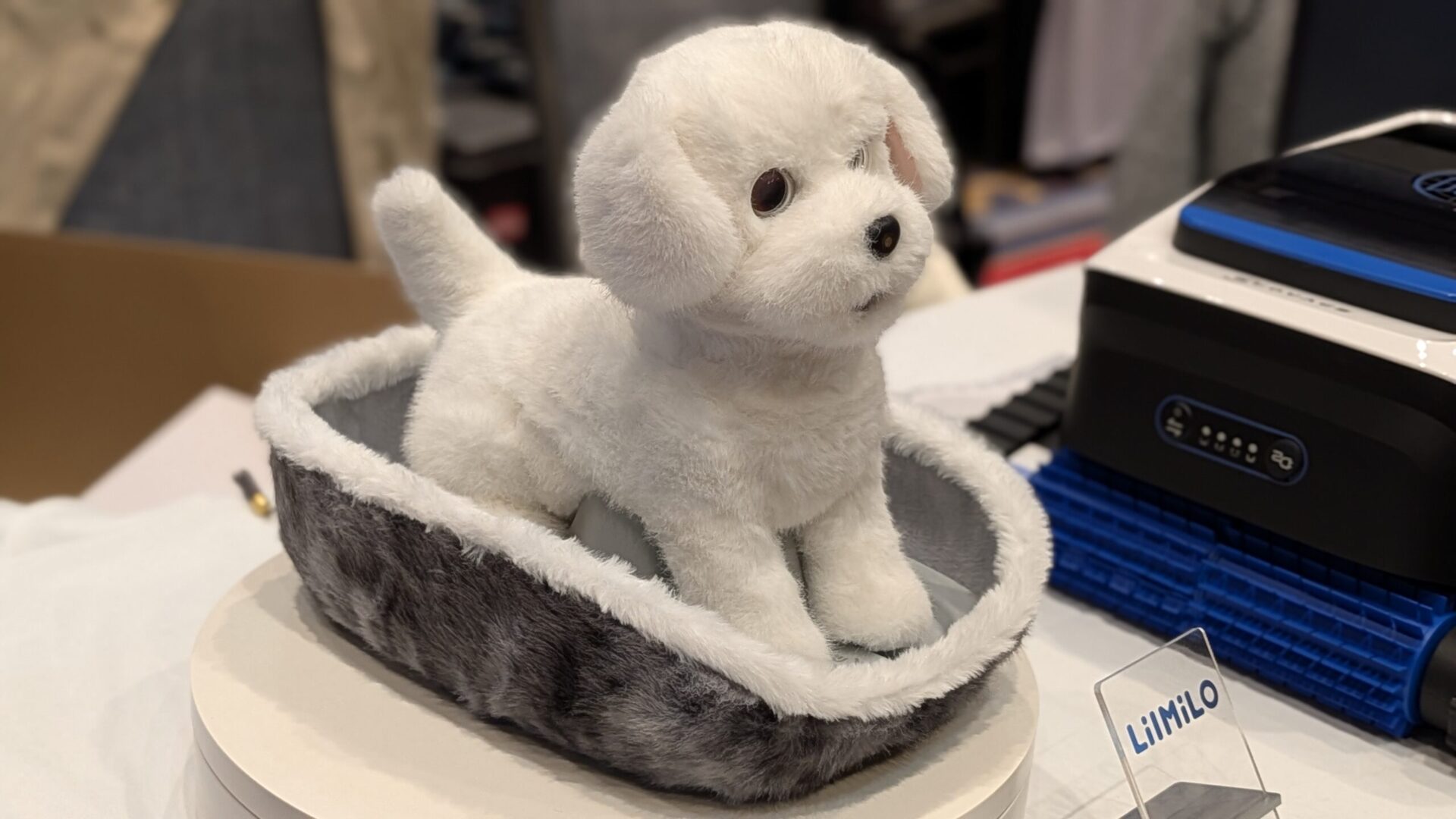 CES 2026: Robotarna vill vinna ditt hjärta – men revolutionen är inte här ännu