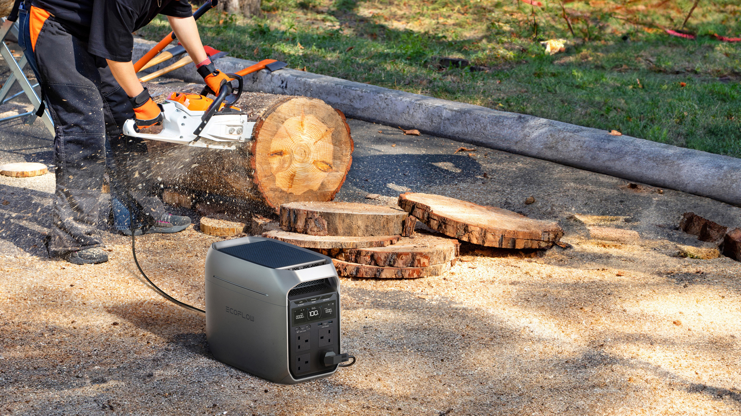 EcoFlow Delta 3 Plus