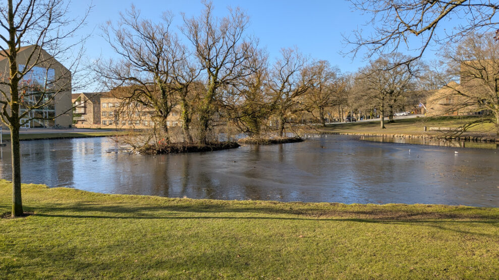 PX10A-PXL_20260301_082637738