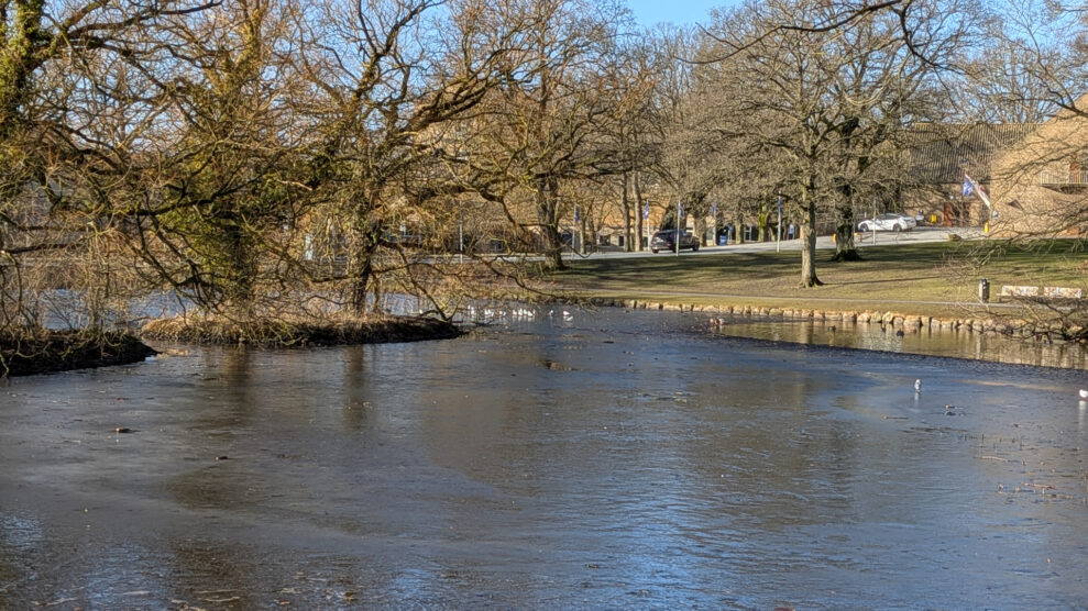 PX10A-PXL_20260301_082650260