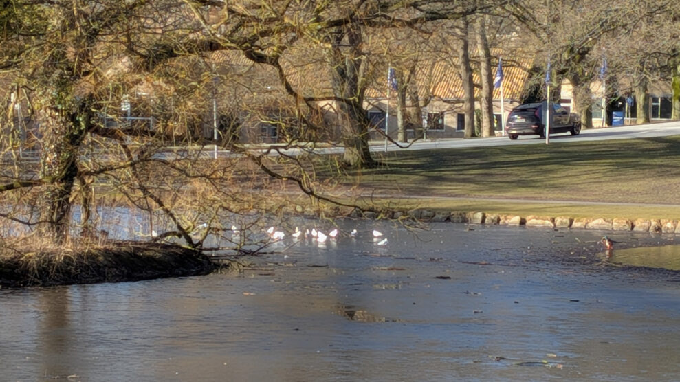 PX10A-PXL_20260301_082656278