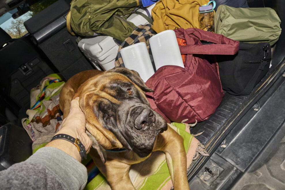 Sonos-Play-Car-Packing-scaled-1