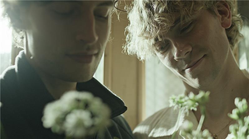 Trioen_1 (2) Trioen_1 (2)