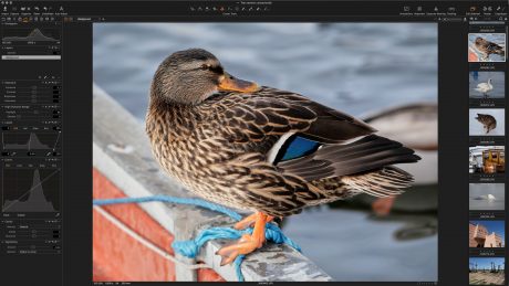 Capture One 11 1 Capture One I 40275