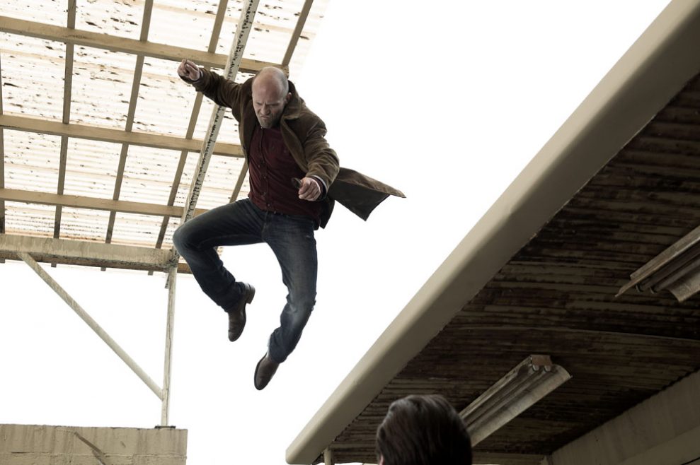 Wild Card_3 Wild Card_3