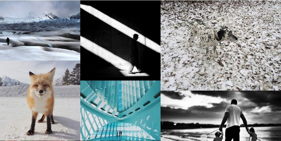 Svensk dominerade fototävling